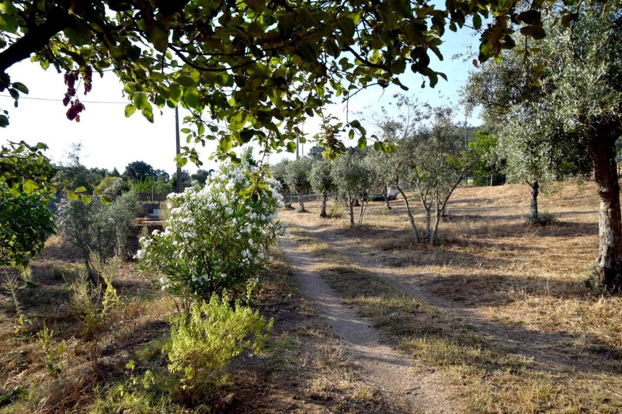 Ola Linda - Casa De Campo - Castelo de Vide Extérieur photo