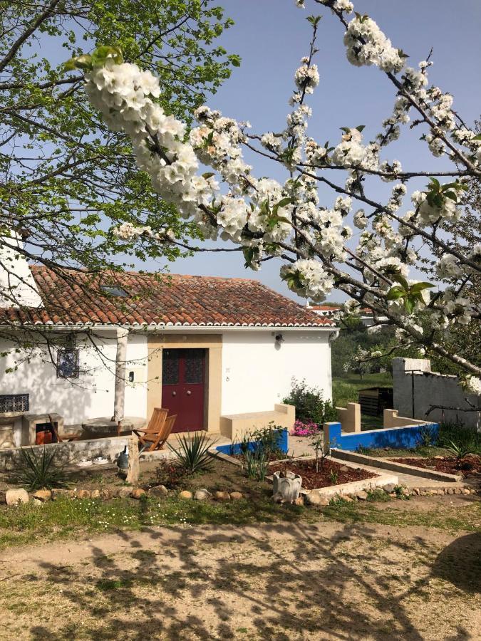 Ola Linda - Casa De Campo - Castelo de Vide Extérieur photo